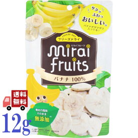 ミライフルーツ バナナ 12g フリーズドライ ばなな 100％ ドライフルーツ フルーツ おやつ おつまみ 子供