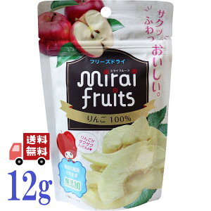 ~Ct[c  12g t[YhC S 100 hCt[c t[c  ̂ ܂ q