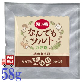 海の精 なんでも ソルト 詰替用 58g 隠し味