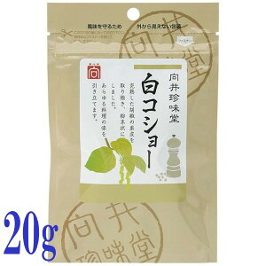 䒿 h RV[ 20g  XpCX }[VAY zCgybp[ Ӟ RVE Ӟ h 