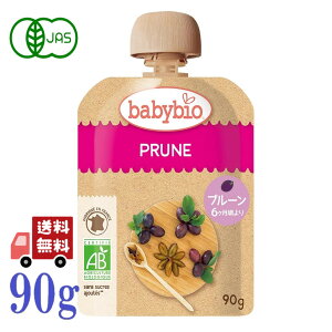 xr[rI babybio L@ xr[X[W[ 90g (v[) X[W[ I[KjbN t[c Y o