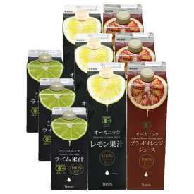 3種セット テルヴィス 有機 レモン果汁 1000ml + 有機 ライム果汁 500ml + 有機 ブラッドオレンジ ジュース 1000ml シチリア産 ストレート 100％ オーガニック 有機JAS 無添加 人気 おすすめ フルーツ果汁セット 大容量 業務用 ドリンク 割り材