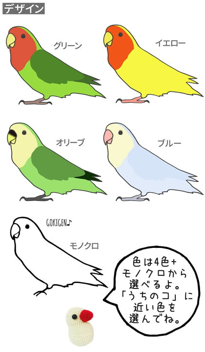 楽天市場 インコ Tシャツ 横向き コザクラ 小鳥 鳥 鳥好き 雑貨 グッズ デザイン イラスト アニマル かわいい プレゼント ギフト セキセイインコ オカメインコ コザクラインコ マメルリハ おもしろい 面白い 大きいサイズ ビッグt 文鳥と小鳥の雑貨屋hydaway