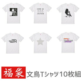 福袋 2020 ハッピーバッグ 文鳥 Tシャツ 10枚組 メンズ レディース 小鳥 鳥 鳥好き 雑貨 デザイン イラスト アニマル かわいい グッズ ブンチョウ ぶんちょう buncho プレゼント ギフト 白 桜 シルバー シナモン クリーム 大きいサイズ ビッグ