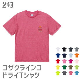 インコ ドライTシャツ ポケット風Tシャツ ひょっこりコザクラ 小鳥 鳥 鳥好き 雑貨 吸水速乾 UVカット メッシュ 通気性 オーバーサイズ ビッグサイズ かわいい グッズ プレゼント ギフト おもしろい 面白い 大きいサイズ ビッグT メール便 癒やし