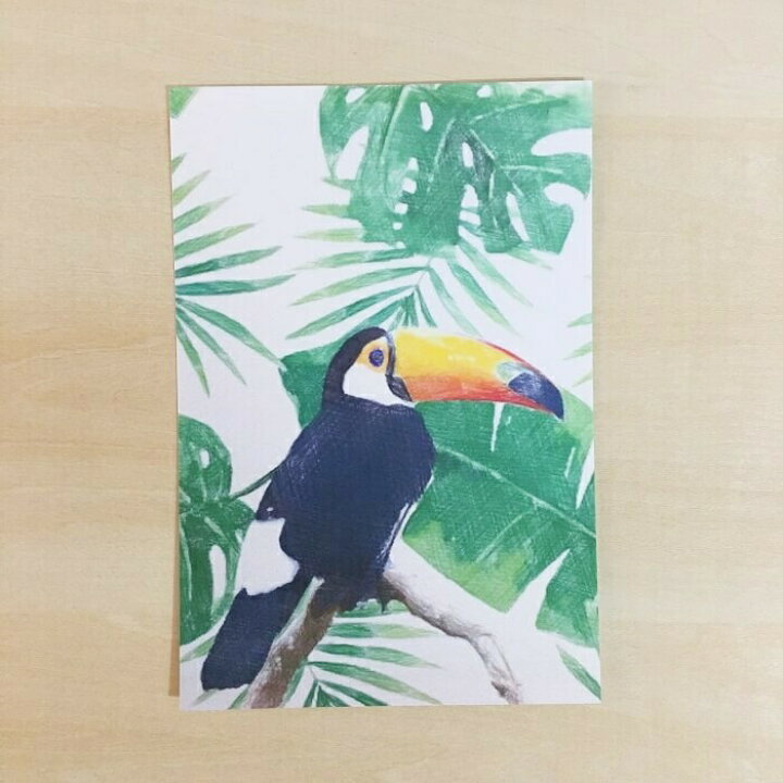 楽天市場 オニオオハシ ポストカード 鳥 鳥好き 雑貨 イラスト アニマル かわいい グッズ プレゼント ギフト 年賀状 暑中見舞い 暑中お見舞 おにおおはし オオハシ オオオオハシ ブラジル 国鳥 野鳥 南国 カリブ海 南米 ジャングル アマゾン 文鳥と小鳥の雑貨屋hydaway