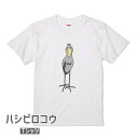 楽天市場 大型の鳥類 文鳥と小鳥の雑貨屋hydaway