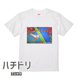 ハチドリ Tシャツ 世界の野鳥シリーズ ＃4 メンズ レディース 綿100％ ホワイト ハミングバード Hummingbird 蜂鳥 ホバリング 小鳥 ことり 野鳥 プレゼント ティーシャツ 大きいサイズ ビッグTシャツ