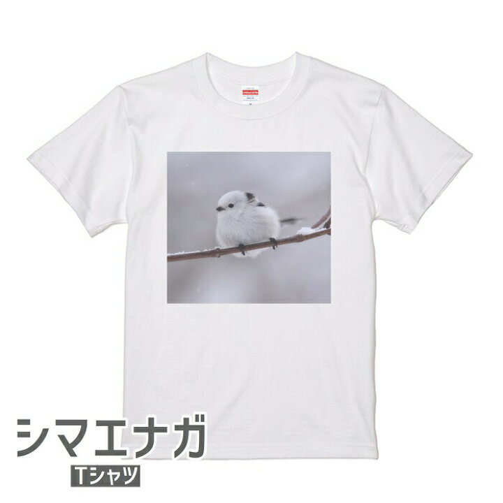 楽天市場 シマエナガ Tシャツ 世界の野鳥シリーズ 1 メンズ レディース 綿100 ホワイト 小鳥 ことり グッズ 雑貨 しまえなが エナガ 柄長 シマエナガちゃん 野鳥 雪の妖精 北海道 ティーシャツ プレゼント ギフト 鳥好き 文鳥と小鳥の雑貨屋hydaway