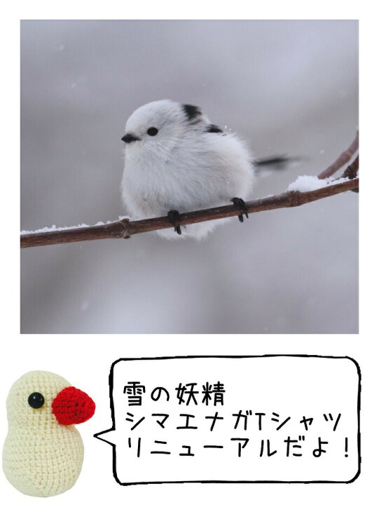 楽天市場 シマエナガ Tシャツ 世界の野鳥シリーズ 1 メンズ レディース 綿100 ホワイト 小鳥 ことり グッズ 雑貨 しまえなが エナガ 柄長 シマエナガちゃん 野鳥 雪の妖精 北海道 ティーシャツ プレゼント ギフト 鳥好き 文鳥と小鳥の雑貨屋hydaway