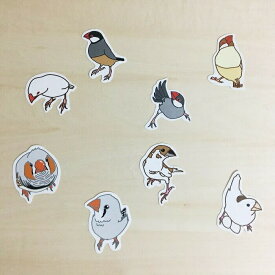 楽天市場 シナモン文鳥 グッズの通販