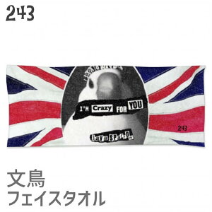  tFCX^I CRAZY FOR YOU 34×85cm LOi Ajo[T[  w   wj җ Əj a NX}X   D G 킢 ObY v[g Mtg [