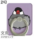 楽天市場 新商品 文鳥と小鳥の雑貨屋hydaway