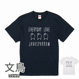 文鳥 Tシャツ エブリデイかしげる 小鳥 鳥 鳥好き 雑貨 デザイン オーバーサイズ ビッグサイズ かわいい グッズ プレゼント ギフト 白 桜 シルバー シナモン クリーム おもしろい 面白い 大きいサイズ ビッグT