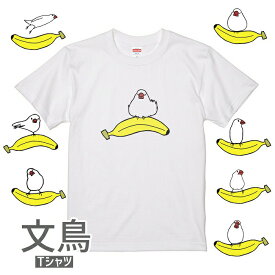 文鳥 Tシャツ バナナと文鳥243 小鳥 鳥 鳥好き 雑貨 イラスト アニマル かわいい グッズ ぶんちょう buncho プレゼント ギフト 白 桜 シルバー シナモン クリーム おもしろい 面白い 大きいサイズ ビッグT 果物 フルーツ ばなな メール便 癒やし