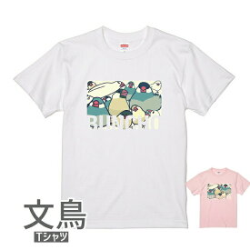 文鳥 Tシャツ 文鳥だよ！全員集合！ 243 小鳥 鳥 鳥好き 雑貨 デザイン イラスト アニマル かわいい グッズ ぶんちょう buncho プレゼント ギフト 白 桜 シルバー シナモン クリーム おもしろい 面白い 大きいサイズ ビッグT