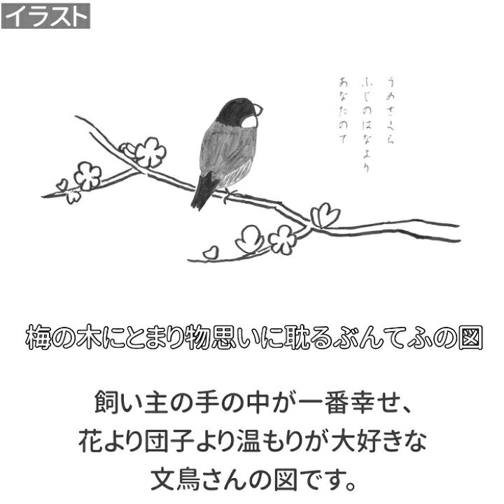 楽天市場 文鳥 トートバッグ 墨絵文鳥 Mサイズ メンズ レディース エコバッグ バッグインバッグ 小鳥 鳥 鳥好き 雑貨 デザイン イラスト ペット かわいい グッズ ぶんちょう プレゼント ギフト 白 桜 シルバー シナモン クリーム 文鳥と小鳥の雑貨屋hydaway