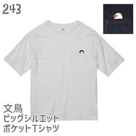 文鳥 ビッグシルエット ポケットTシャツ ポケットから文鳥 243 小鳥 鳥 鳥好き 雑貨 オーバーサイズ ビッグサイズ 文鳥 セキセイインコ オカメインコ コザクラインコ マメルリハ フィンチ シマエナガ ハシビロコウ
