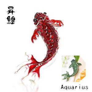   XtXL[  N  u[` 傫 2J[ ԐF ΐF Mtg|[`t