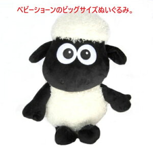 xr[Mtg xr[gC ʂ Ђ̃V[ xr[V[  l` oYj v[g a j 蕨  z l` j̎q ̎q |GXe