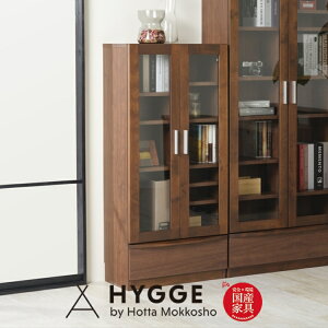 {I i e 60cm  VR { rOwK  [I k X fBXvCbN A_[ ubNVFt YƋ ǖʎ[  R~bN DVD CD t@C A4