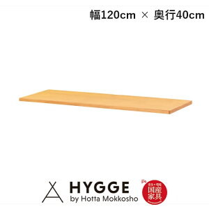 VPi 120cm xe22 120V D40@NA YƋ xc؍H