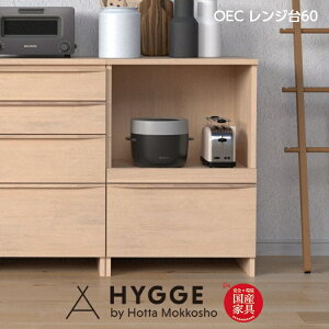 堀田木工 レンジ台 TJ9925