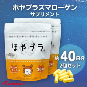�y������40�����z�ق�v�� �ق₩������� �v���Y�}���[�Q�� �T�v�������g 80��×2�� ��40���� �z���R�� �v���Y�}���[�Q�� 1000��g �z�� DHA�^ �T�v�� �J�v�Z���^�C�v �ق� �F�m�@�\ �T�|�[�g DH