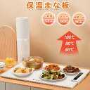 【限定10%OFFCP 断熱マット付き】食品保温プレート シリコン製 電気保温 『60℃(140°F) | 80℃(175°F) | 100℃(215…