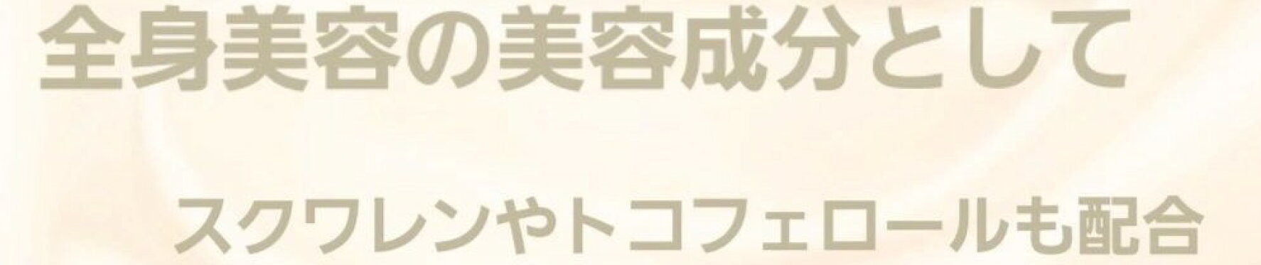 バナーロゴ大