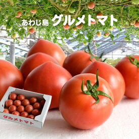 楽天市場 トマト ルネッサンスの通販