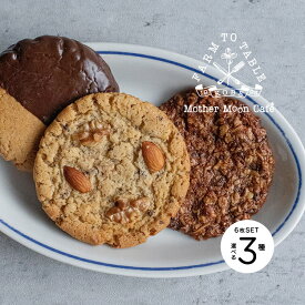 【お好きなお味を選べる】アメリカンクッキー 6枚セット［3種各2枚計6枚］【マザームーンカフェ】【産地直送】
