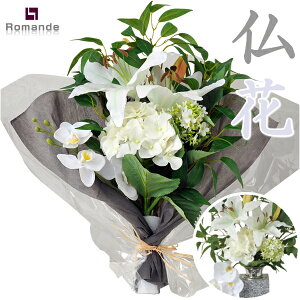  TW^AX }fAA[gt[ h̉/  AWg EEފ  m Mtg/蕨ɂ  { @ ~ l\  