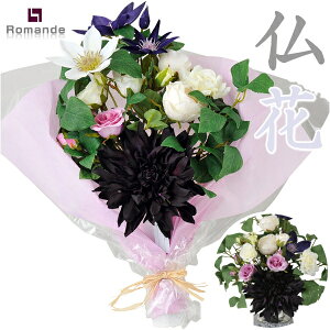  u }fAA[gt[ h̉/  AWg EEފ  m Mtg/蕨ɂ  { @ ~ l\   