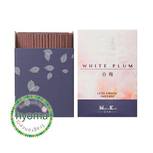 y݌Ɍzԕ ~ ~j { Ȃ ~̍ ~j  RpNgTCY