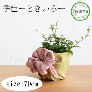 y[֑ΉzC~ 45cm GF(Ƃ) {  o[Vu ނ(ӂ낵) v`Mtg c i MtgbsO 45 GF
