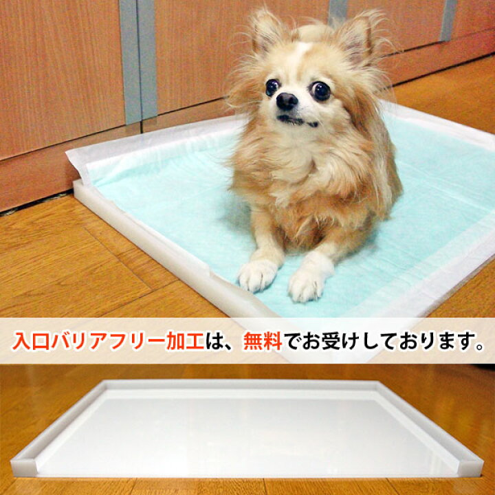 楽天市場 犬 トイレトレー 底板のみ 外寸 W0 D600 H23 犬用トイレ 丸洗い 洗える ペット オーダーメイド オーダーサイズ 透明 クリア 収納 介護 老犬 バリアフリー シート シーツ アクリル トイレトレイ トレー トレイ ペットトイレ 犬のトイレ 犬のトイレトレー 犬