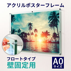 AN |X^[t[ KXF A0TCYp ǌŒp t[g^Cvt[TCY:891mm×1239mm|ANt[  A[gt[ ʐ^t[ z z A0 |X^[ |X^[p