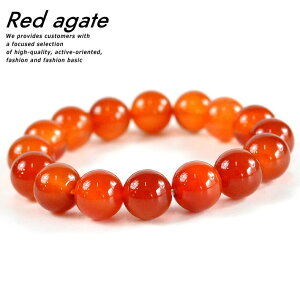 p[Xg[ uXbg Y fB[X  ANZT[ NEK ALI 7992504 bhAQ[g  bhAQ[g ^ ^ d^   ƒ~  K^ ^ ^ 