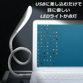 【6/4～楽天スーパーセール★2人に1人最大100%ポイントバック★要エントリー】USB式 LED ライト LIGHT 照明 パソコンライト デスクライト スタンドライト ランプ 電気 明かり 送料無料 NEK 7990972 200120