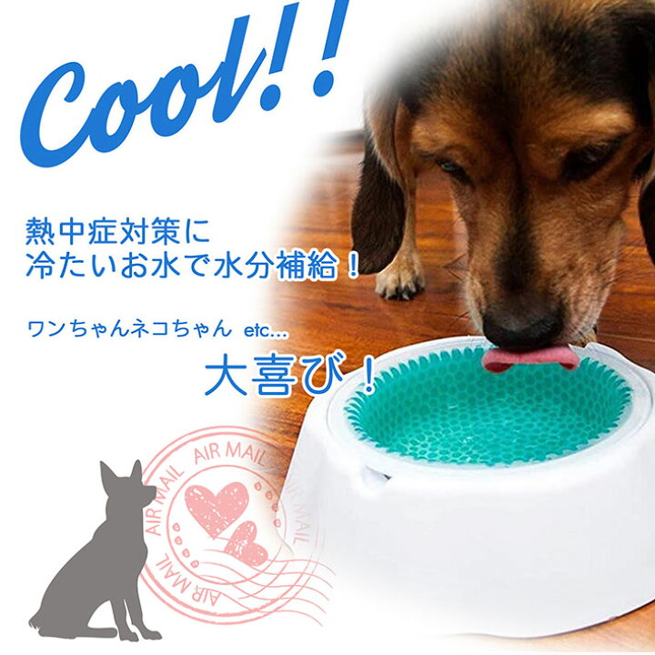 楽天市場 ペットの熱中対策 ひえひえボウル クールボウル ひんやり 容器 ペット用容器 犬用食器 ペット涼感 食器 ひえひえ ひんやり 保冷 夏用品 熱中症対策グッズ 暑さ対策 冷却 丸洗い 夏 散歩 水入れ テーブルウェア ドッグ Hype