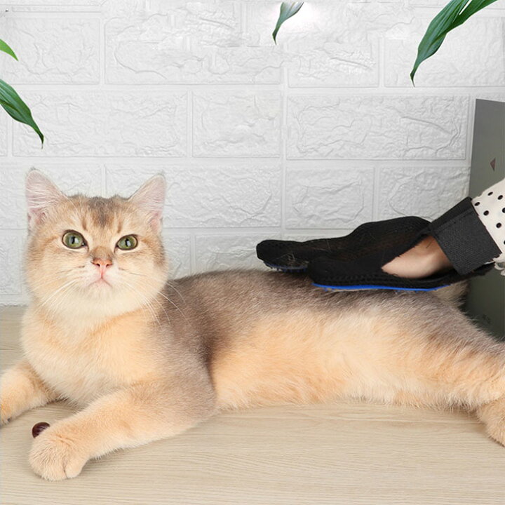 楽天市場 撫でるだけ ペット グルーミング グローブ ブラシ 手袋 犬 猫 マッサージ ブラシ 抜け毛抜き 毛玉除去 毛取り マッサージ手袋 抜け毛対策 グルーミンググローブ ペット用品 ペットグッズ 換毛期 右手用 Mb Hype