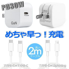 【めちゃ早っ充電】充電器 タイプC iphone ipad 2mケーブル PD30W NEK ★REVM 7987323 アイコス IQOS イルマ MacBook Surface pro Switch アダプター TYPE-C/TYPE-C TYPE-C/Lightning xperia エクスペリア 高速充電 日本PSE認証 プレゼント 送料無料