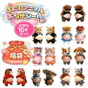 【お得な5枚10点セット】福袋 お腹シール おなか ぷにぷに3Dキャ...