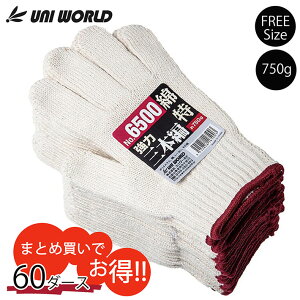 R    ȓa3{ 750g 60_[X 6500 Y_KO_un 02uni v[g Mtg