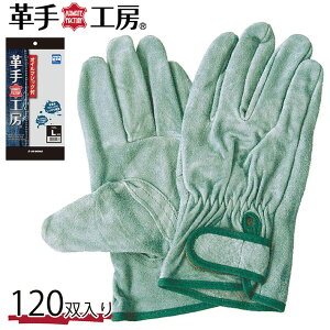 v    ICv}WbN 120o ks132 Y_KO_un 02uni v[g Mtg