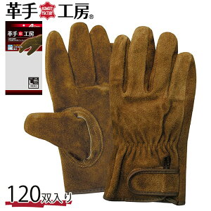 v    ICuEv}WbN@120o ks846 Y_KO_un 02uni v[g Mtg