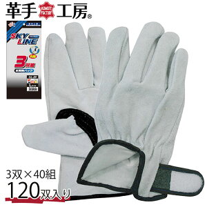 �v�� ��� ��� ���� ���ȋ����v�}�W�b�N 3P �@40�g���� sl89-3p Y_KO_un 02uni �v���[���g �M�t�g