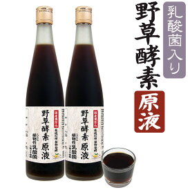 【2本セット】野草酵素(原液) 乳酸菌入り 80種の果穀草菜 和漢植物を熟成発酵 酵素 500ml