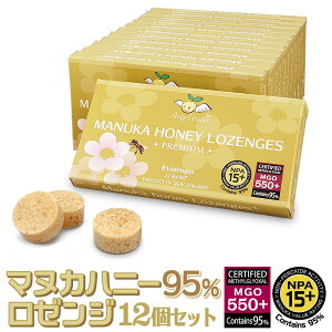 Angelbean }kJnj[E[W MGO550+ 15+ j[W[hA LfB ̂ǈ 12Zbgiz͗vmFj